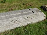 image of grave number 938255